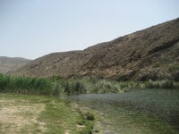 Oase in Dhofar