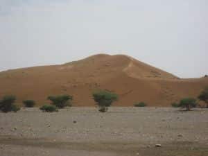 Die Wüste Wahiba Sands