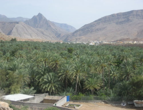 GEHEIMNISVOLLER OMAN