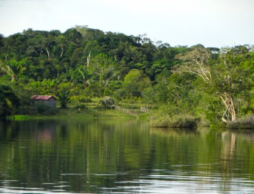 BRASILIEN – SAMBA UND REGENWALD
