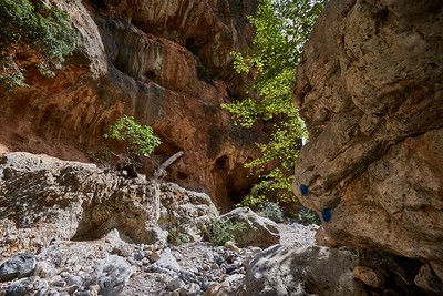 Agia Irini 2